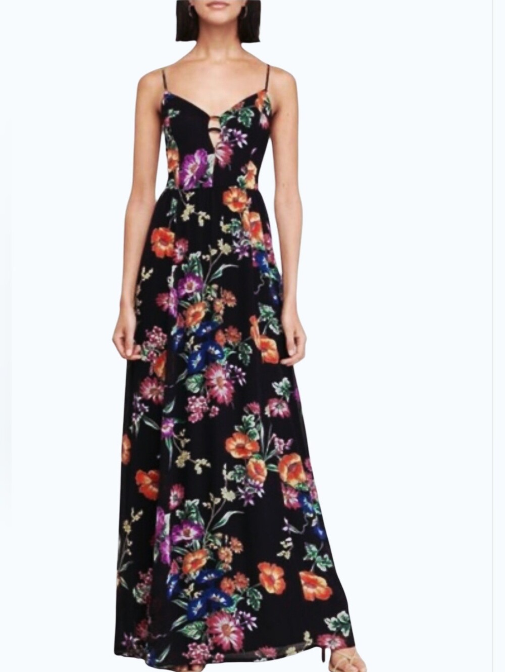 Express Floral Sheer Date Night Ladies Night Brunch Vaction Maxi Dress